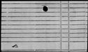 00349194.jpg
