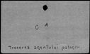 00351446.jpg