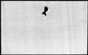 00537236.jpg