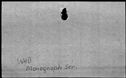 00376830.jpg