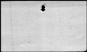 00537463.jpg