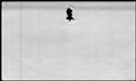 00538966.jpg