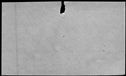 00539042.jpg