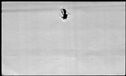 00540746.jpg