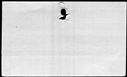 00951050.jpg