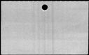 00952558.jpg