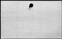 00245690.jpg