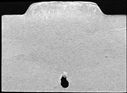 00245838.jpg