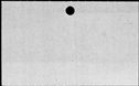 00956164.jpg