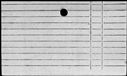 00956194.jpg