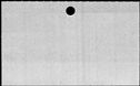 00956604.jpg