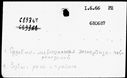 00190950.jpg