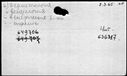 00191264.jpg