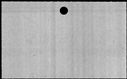 00250354.jpg