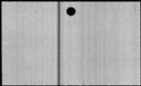 00251294.jpg