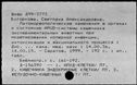 00962767.jpg