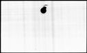 00963392.jpg