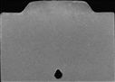 00965894.jpg