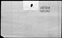 00265706.jpg