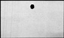 00262462.jpg
