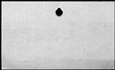 00275846.jpg