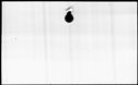 00193706.jpg