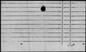 00193826.jpg