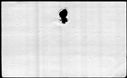 00194164.jpg