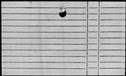 00194360.jpg
