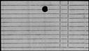 00194362.jpg
