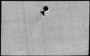 00194396.jpg