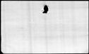 00194774.jpg