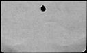 00196198.jpg