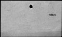 00196304.jpg