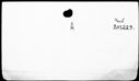 00196604.jpg