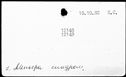 00196778.jpg
