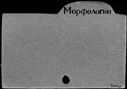 00289667.jpg