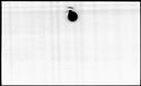 00210444.jpg