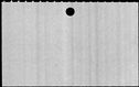 00310212.jpg