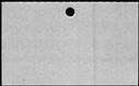 00222464.jpg