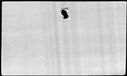 00973948.jpg