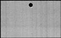 00833228.jpg