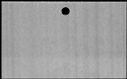 00833282.jpg