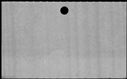 00833322.jpg