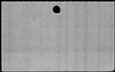 00833346.jpg