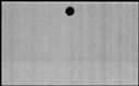 00833350.jpg
