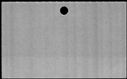 00833368.jpg