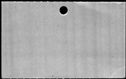 00833466.jpg