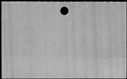 00833470.jpg