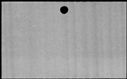 00833474.jpg
